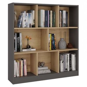 TP Living Regál Fiesta 8P 100 cm antracit/dub artisan obraz