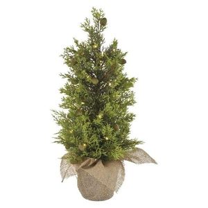 EMOS Vánoční světelný LED stromeček Skyla 50 cm zelený/teplý bílý obraz