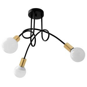 TooLight Závěsný lustr PARADISE 60 cm černý obraz