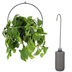 Esschert Design Zavlažovač pro závěsné květiny TAVORA 0, 5 L šedý obraz