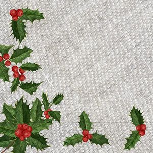 PROCOS Vánoční papírové ubrousky 33x33cm 3vrstvé větvičky 20ks obraz