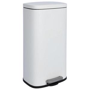 Odpadkový koš bir0501aa-wd 30l white obraz