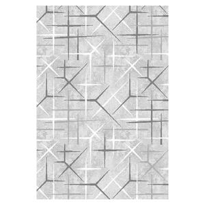 Koberec Levizze 0, 8/1, 5 LV2 NA824 LVG11 obraz