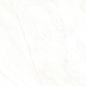 Atena Beige Poler120/120 Rect. PEI3 obraz