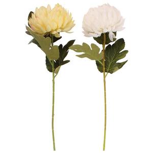 Chryzantéma o 11cm 1 7vrstev 76cm mix 443476 obraz