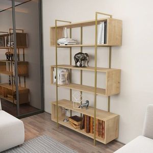Knihovna Bruti - Oak, Gold obraz
