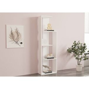 Knihovna Wand - White obraz