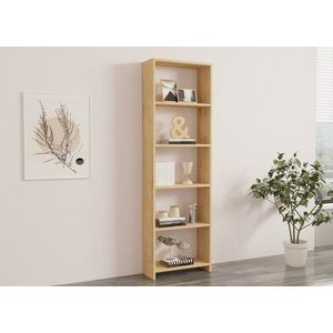Knihovna New - Oak obraz