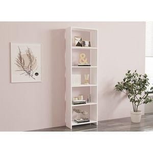 Knihovna New - White obraz