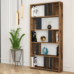 Knihovna Lima - Walnut, Anthracite obraz