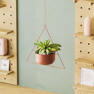 Dekorativní květináč Harpusta - Copper obraz
