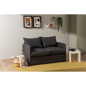 Dvoumístná rozkládací pohovka Saga 2-Seater - Dark Grey obraz