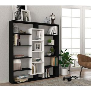 Knihovna Ample - Black, White obraz