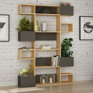 Knihovna Niho - Oak, Anthracite obraz