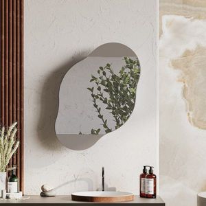 Koupelnová skříňka Cloud Storage Bathroom Wall Mirror - Light Mocha obraz