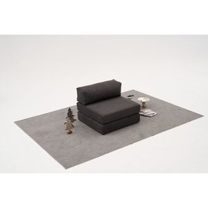 Křeslo / Jednomístná pohovka Comfort - Anthracite v2 obraz