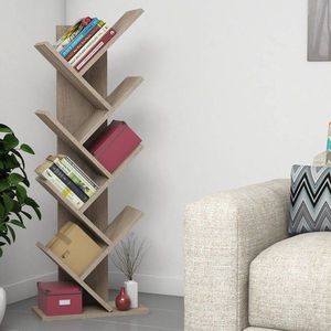 Knihovna Hitit - Walnut obraz
