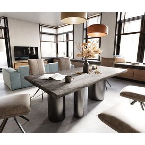 Jídelní stůl Edge 200x100 XL Akácie Platinum Troa Nerezová ocel obraz