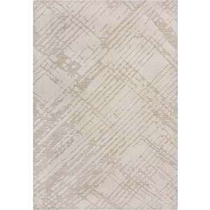 Krémový koberec 160x230 cm Remy – Flair Rugs obraz