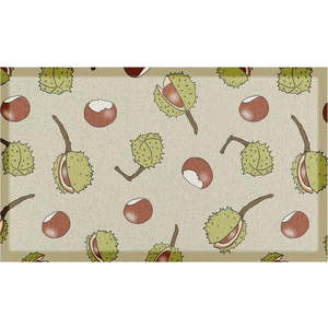 Rohožka 40x70 cm Chestnuts x Two Little Sprouts – Artsy Doormats obraz