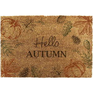 Rohožka z kokosového vlákna 40x60 cm Hello Autumn – Artsy Doormats obraz