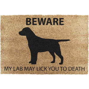 Rohožka z kokosového vlákna 40x60 cm Labrador – Artsy Doormats obraz