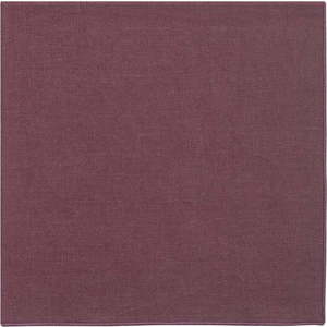 Lněný ubrousek 42x42 cm Lineo – Blomus obraz