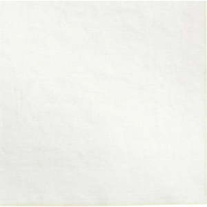 Lněný ubrousek 42x42 cm Lineo – Blomus obraz