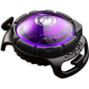 LED světlo na obojek Purple – Orbiloc obraz