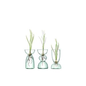 Sada váz Canopy, výška 13 cm, čirá - LSA International obraz