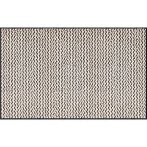 Esposa DVEŘNÍ ROHOŽKA, 75/120 cm, béžová obraz