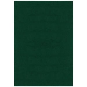 TKANÝ KOBEREC, 160/230 cm, zelená obraz