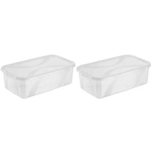 Rotho BOX S VÍKEM 2x 5l l obraz