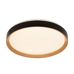 Novel STROPNÍ LED SVÍTIDLO, 48/8 cm obraz