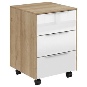 Voleo POJÍZDNÝ KONTEJNER, 40/61/50 cm obraz