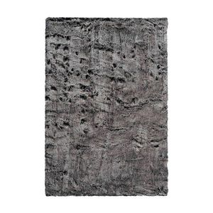 KOBEREC S VYSOKÝM VLASEM, 80/150 cm, antracitová obraz