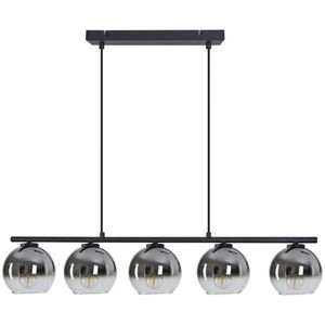 Novel ZÁVĚSNÉ SVÍTIDLO, 83/13/150 cm obraz