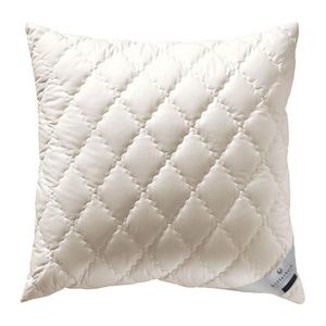 Billerbeck POLŠTÁŘ POD HLAVU, 80/80 cm obraz