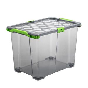 Rotho BOX S VÍKEM 65 l obraz