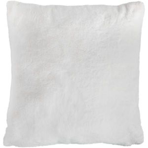 Novel POTAH NA POLŠTÁŘ 48/48 cm obraz