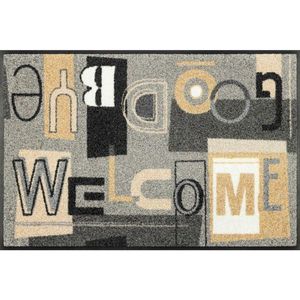 wash+dry DVEŘNÍ ROHOŽKA, 50/75 cm obraz