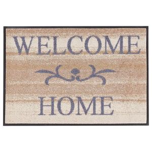 wash+dry DVEŘNÍ ROHOŽKA, 40/60 cm obraz