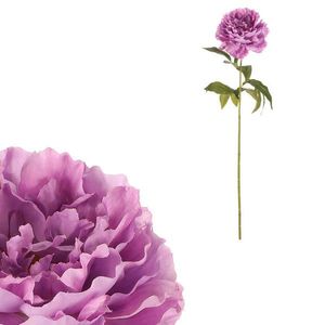 UMĚLÁ KVĚTINA 65 cm obraz