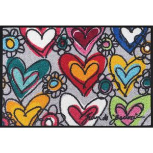 wash+dry DVEŘNÍ ROHOŽKA, 40/60 cm, šedá obraz