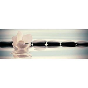 OBRAZ NA SKLE, zen, 33/98/1, 40 cm obraz