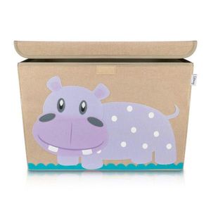 Lifeney BOX NA HRAČKY obraz