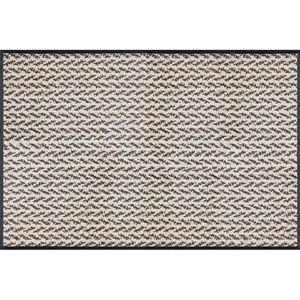 Esposa DVEŘNÍ ROHOŽKA, béžová - béžová obraz