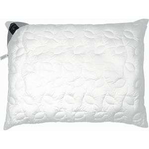 100% bavlna, výplň ze 100% polyesteru obraz