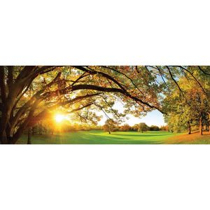 OBRAZ NA SKLE, krajina a příroda, 30/80 cm obraz