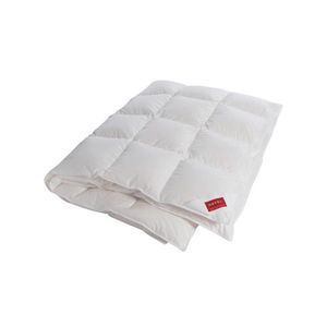 Hefel Textil PÉŘOVÁ PŘIKRÝVKA, 140/200 cm, prachové peří obraz